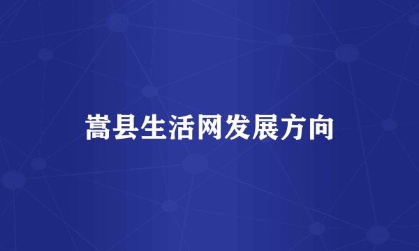 嵩县生活网发展方向