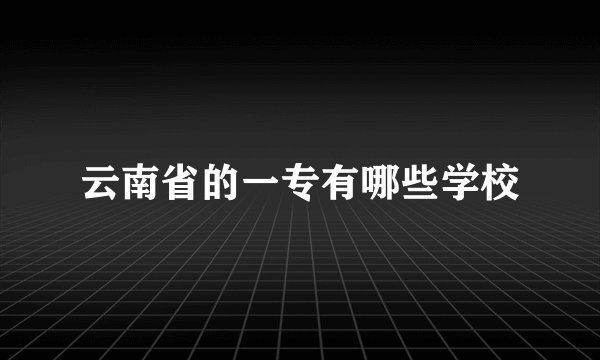 云南省的一专有哪些学校