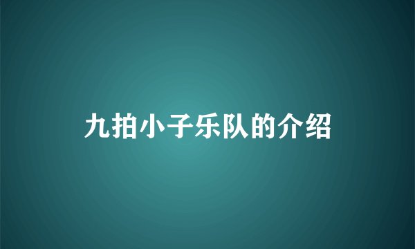 九拍小子乐队的介绍