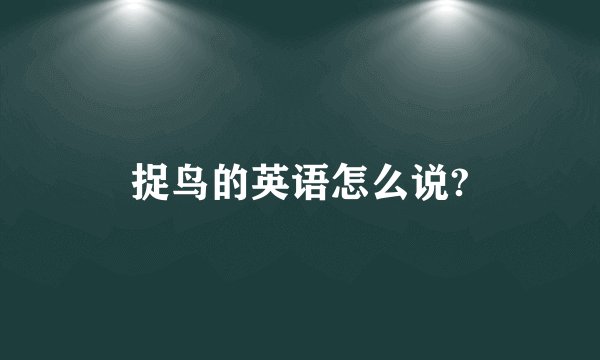 捉鸟的英语怎么说?