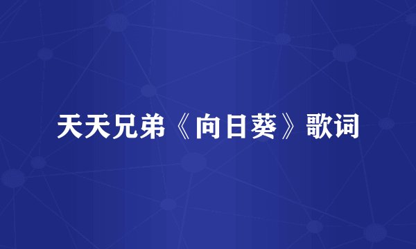 天天兄弟《向日葵》歌词