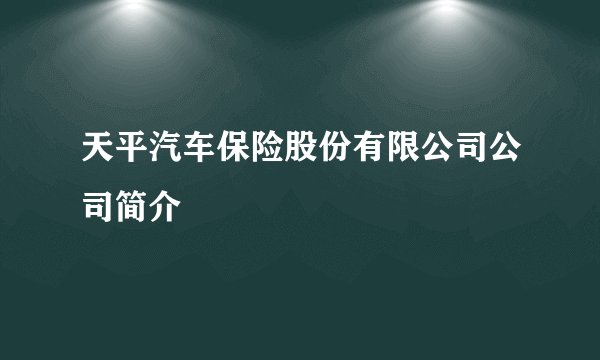 天平汽车保险股份有限公司公司简介