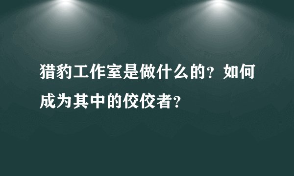 猎豹工作室是做什么的?如何成为其中的佼佼者?