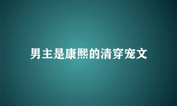 男主是康熙的清穿宠文