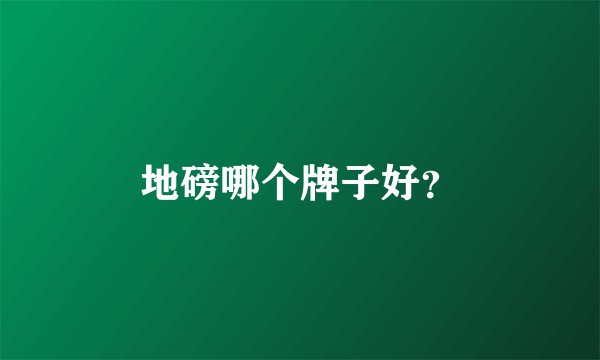 地磅哪个牌子好？