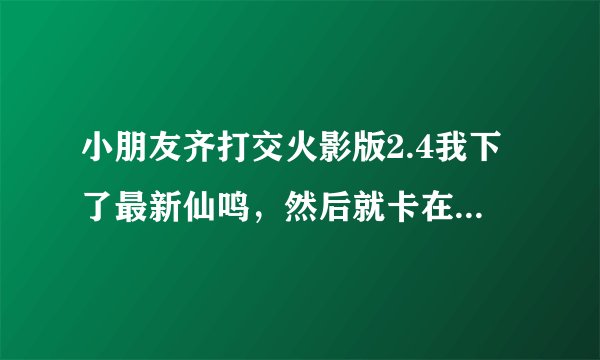小朋友齐打交火影版2.4我下了最新仙鸣，然后就卡在Narutodr。dat了为什么？要图片，视频最好