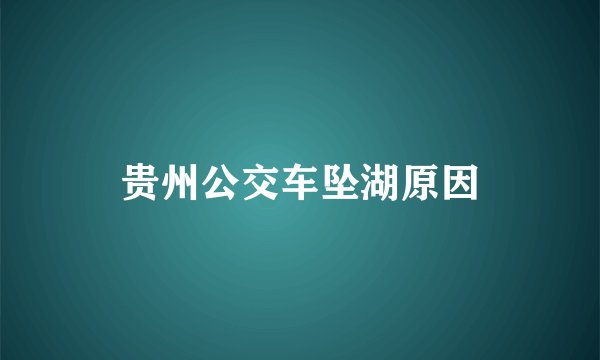 贵州公交车坠湖原因