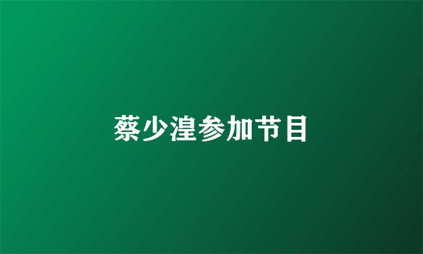 蔡少湟参加节目