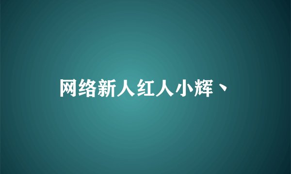 网络新人红人小辉丶