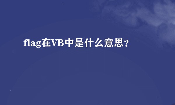 flag在VB中是什么意思？