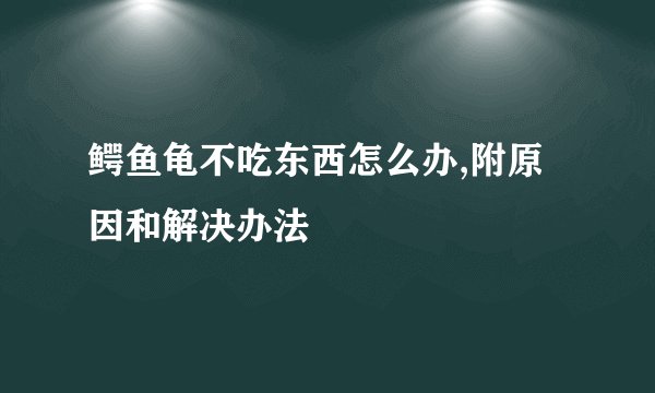 鳄鱼龟不吃东西怎么办,附原因和解决办法