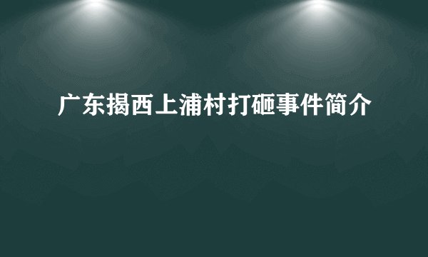 广东揭西上浦村打砸事件简介