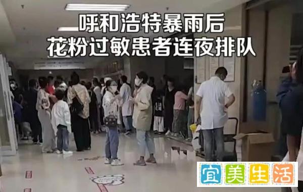 超800人就诊！一地突现“雷暴哮喘”，卫健部门回应→