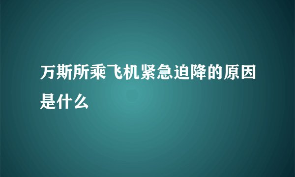 万斯所乘飞机紧急迫降的原因是什么