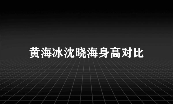 黄海冰沈晓海身高对比