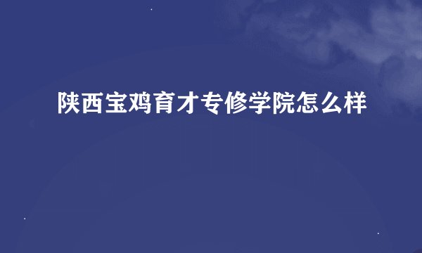 陕西宝鸡育才专修学院怎么样