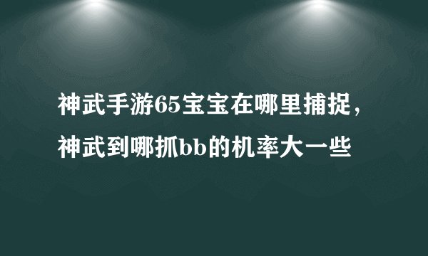 神武手游65宝宝在哪里捕捉，神武到哪抓bb的机率大一些