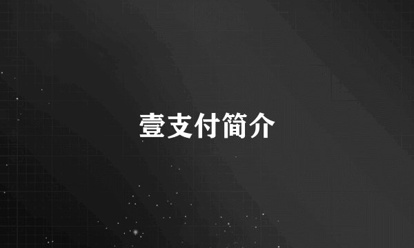 壹支付简介