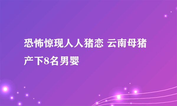恐怖惊现人人猪恋 云南母猪产下8名男婴