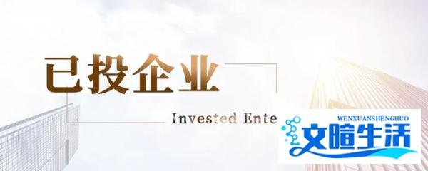 疆亘已投｜消息称AI机器人开发商达闼科技最快今年赴港IPO 最多融资5亿美元