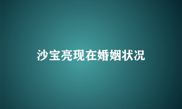 沙宝亮现在婚姻状况