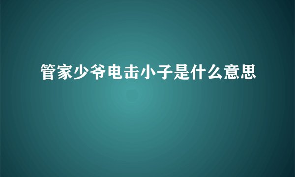 管家少爷电击小子是什么意思
