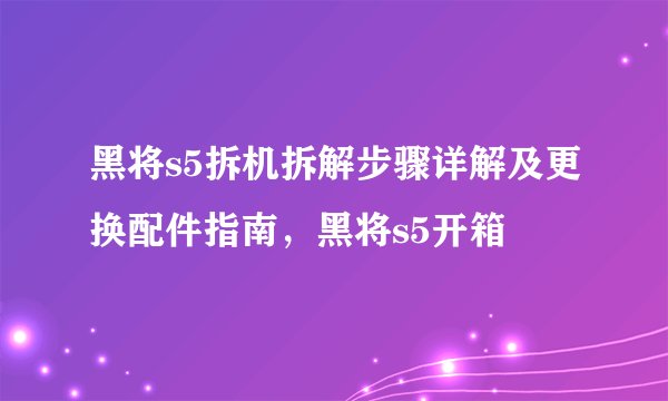 黑将s5拆机拆解步骤详解及更换配件指南，黑将s5开箱