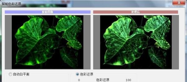 PS图片如何使用智能色彩还原的效果
