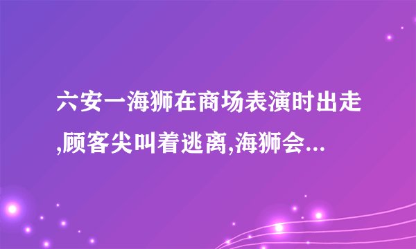 六安一海狮在商场表演时出走,顾客尖叫着逃离,海狮会不会伤人呢?_百度...