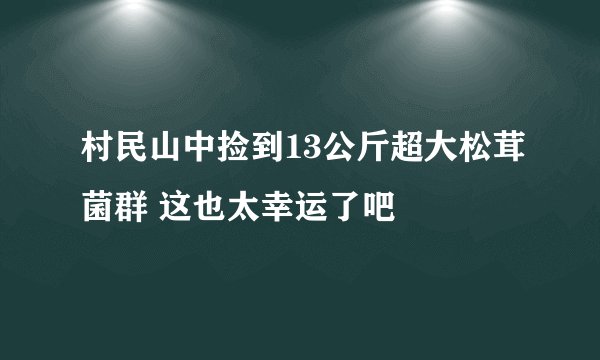 村民山中捡到13公斤超大松茸菌群 这也太幸运了吧