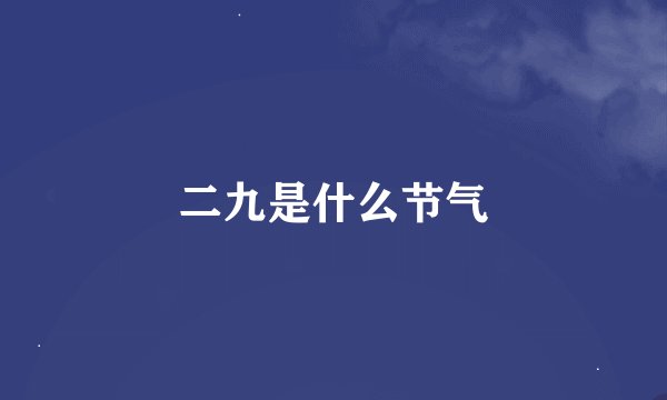 二九是什么节气