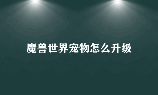 魔兽世界宠物怎么升级