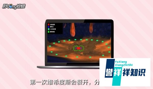 如何杀死维希度斯