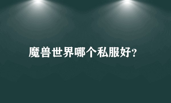 魔兽世界哪个私服好?