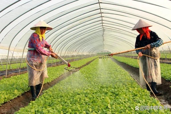 山东一地的80后和90后全部回村就业，究竟是什么改变了他们的想法呢？
