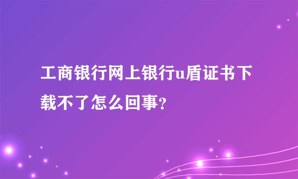 工商银行网上银行u盾证书下载不了怎么回事？