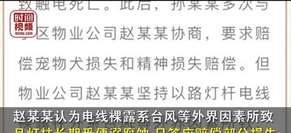 狗子在小区路灯杆旁撒尿被电死,主人索赔5万,有戏吗?