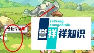 洛克王国阳光收集瓶怎么得
