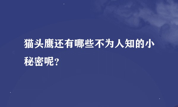 猫头鹰还有哪些不为人知的小秘密呢？