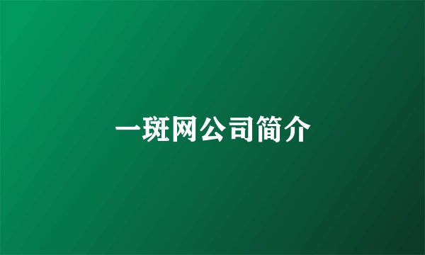 一斑网公司简介