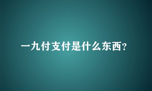 一九付支付是什么东西？