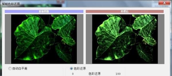 PS图片如何使用智能色彩还原的效果