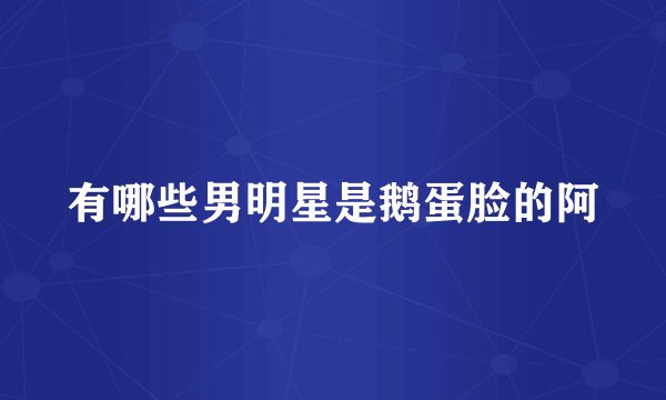 有哪些男明星是鹅蛋脸的阿