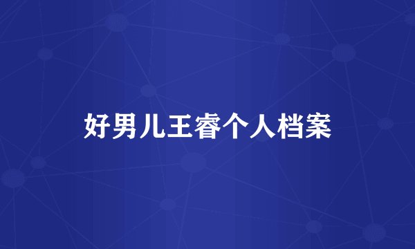 好男儿王睿个人档案