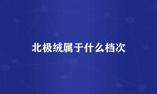 北极绒属于什么档次
