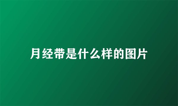 月经带是什么样的图片