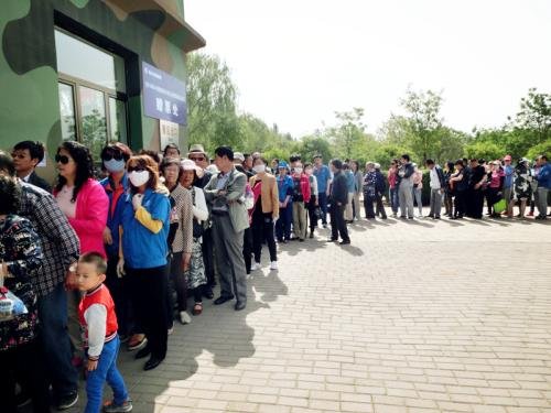 清明流行补偿式返乡,堪比春运的“返乡潮”,什么是补偿式返乡?