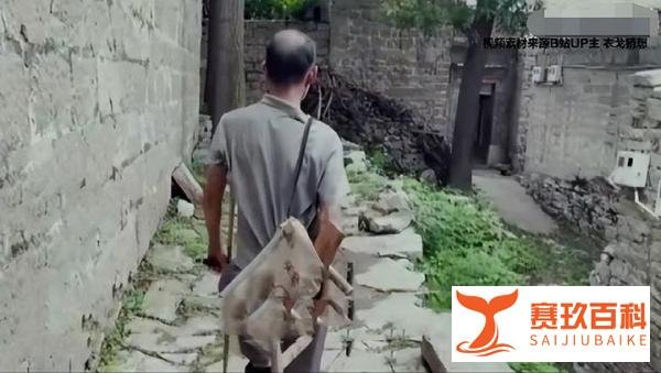 二舅镇上干部称残疾证早就办下来了,现实与视频不一样!