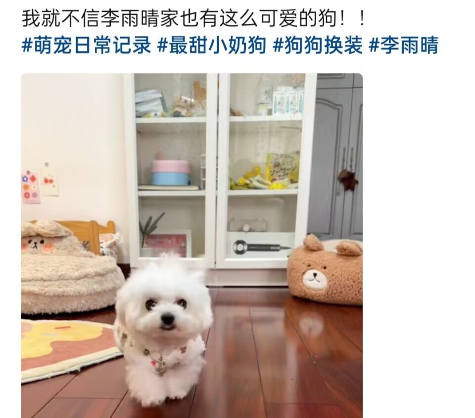 李雨晴妈妈是个什么梗?