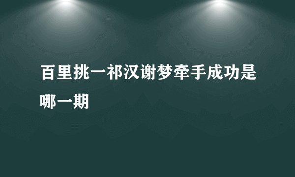 百里挑一祁汉谢梦牵手成功是哪一期